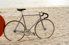 Makino NJS lilac photo