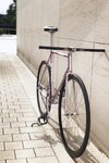 Makino NJS Pink Fade photo