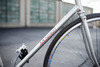 Makino NJS Rainbow Flake photo