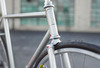 Makino NJS Rainbow Flake photo