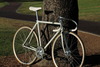 Makino NJS Rainbow Flakes photo