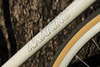 Makino NJS Rainbow Flakes photo