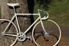 Makino NJS Rainbow Flakes photo