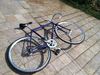 Makino purple sparkle NJS photo