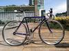 Makino purple sparkle NJS photo