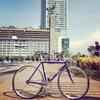 Makino purple sparkle NJS photo