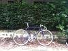 Makino purple sparkle NJS photo