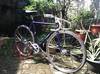 Makino purple sparkle NJS photo