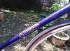 Makino purple sparkle NJS photo