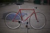 Makino Red/Gold Flake 53,5 photo