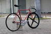 Makino Track NJS Gold Flaked photo