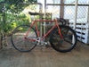 Makino Track NJS Gold Flaked photo