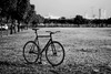 Maldea Track Bike. (COMEBACK) photo