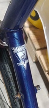 Mannheim SSCX Rats bike. photo