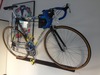 1999 MAPEI-Quickstep Teambike Replica photo