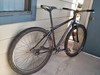 Marin Hamilton SS Rigid 29er photo