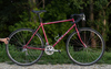 Marin Redwood 1993 photo