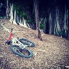 Marin SS MTB photo