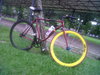 Maroon red fixed gear (MEDAN FIXIOUS) photo