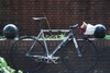 mash ac-1 gamma 56 photo