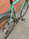 Mash Teal photo