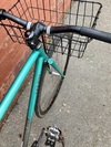Mash Teal photo