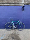 Mash Teal photo
