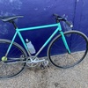 Mash Teal photo