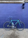 Mash Teal photo