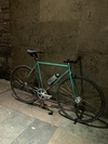 Mash Teal photo