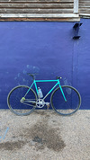 Mash Teal photo