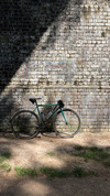 Mash Teal photo