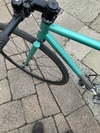 Mash Teal photo