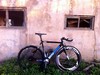 Mash x Cinelli Histogram photo