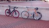 Masi Special photo