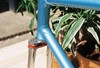 Masi Special pista 1960's frameset photo