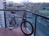 Masi Speciale Fixed 2010 photo