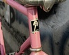 Meccanico Giro NJS photo