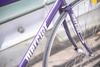 Mercier Kilo TT - Purple. photo
