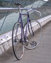 Mercier Kilo TT - Purple. photo