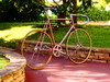 Mercier Pink Track Bike photo