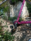 Mercier rose photo Mercier rose photo