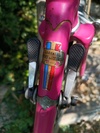 Mercier rose photo Mercier rose photo