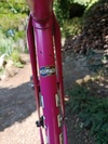 Mercier rose photo Mercier rose photo