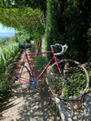 Mercier rose photo Mercier rose photo