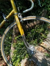Mercier vitus service des courses photo
