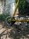 Mercier vitus service des courses photo