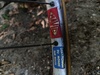 Mercier vitus service des courses photo