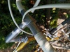 Mercier vitus service des courses photo