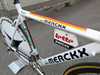 Merckx Crono Team SC World cup leader photo